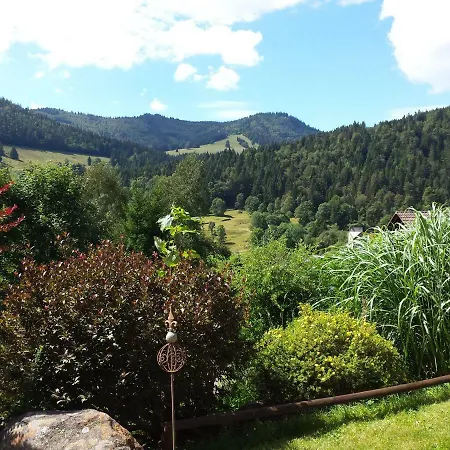 Appartamento Haus Schaefer Menzenschwand-Hinterdorf