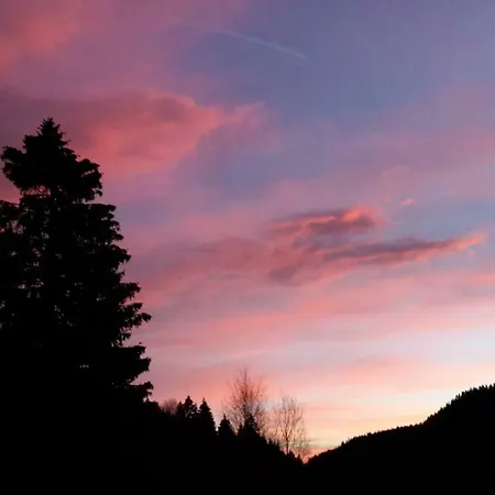 Haus Schaefer * Menzenschwand-Hinterdorf