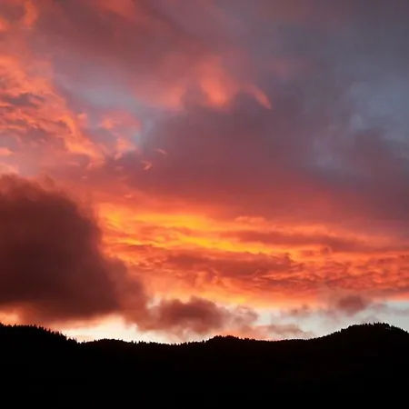 Haus Schaefer Appartement *