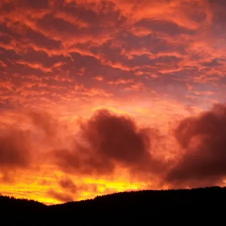 Haus Schaefer Apartmán Menzenschwand-Hinterdorf