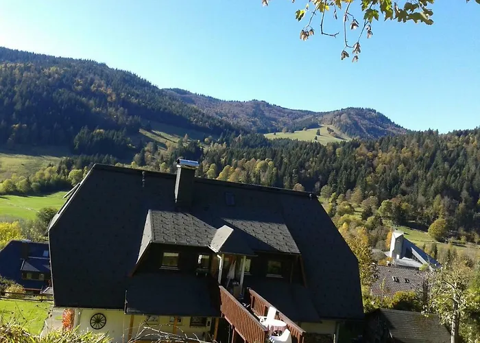 Haus Schaefer Апартаменты *