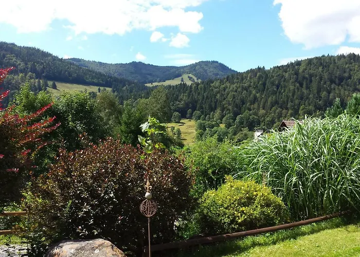 Апартаменты Haus Schaefer Менценшванд