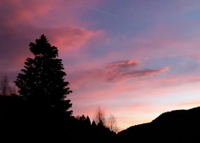 Haus Schaefer * Менценшванд