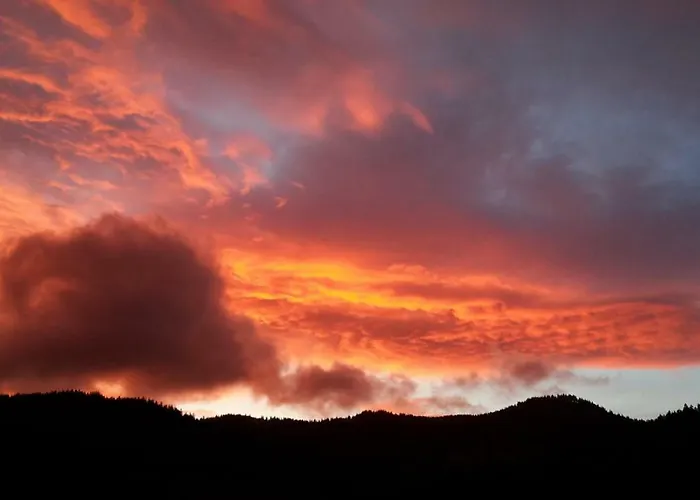 Haus Schaefer Апартаменты *