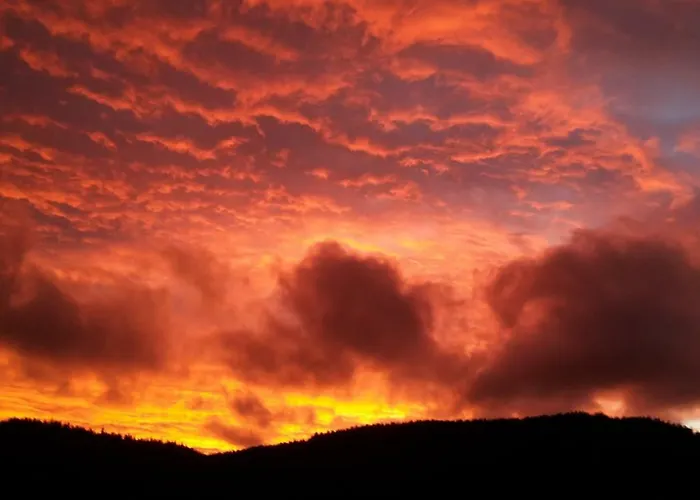 Haus Schaefer Апартаменты Менценшванд